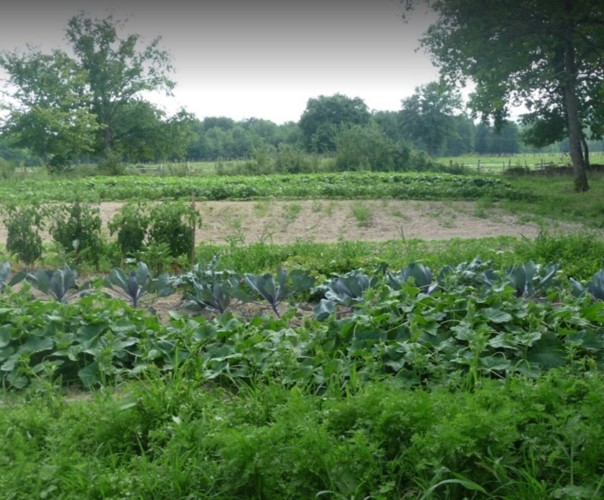 Ferme des Bougnoux