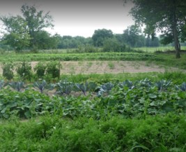 Ferme des Bougnoux