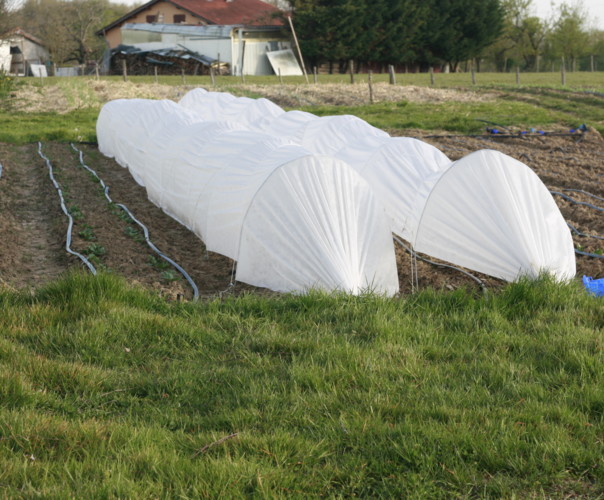 La ferme Gambetta