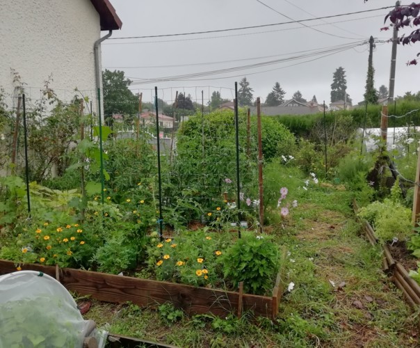 Le potager de Laurence