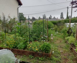 Le potager de Laurence