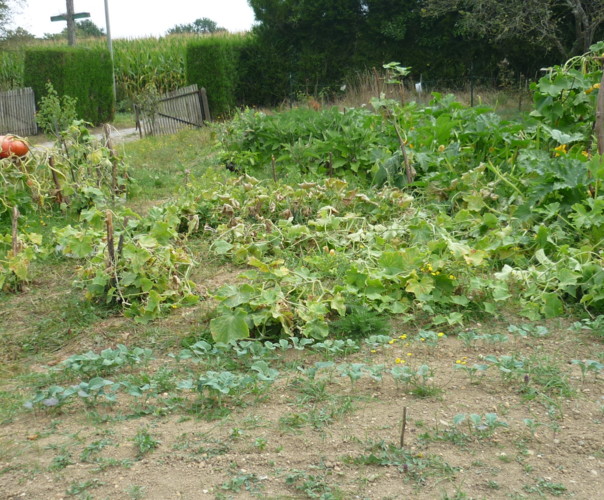 La croix Verte