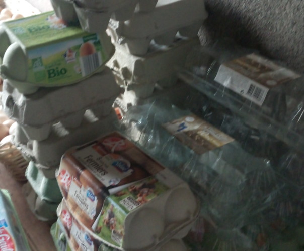 Jardin fermier les mille idées