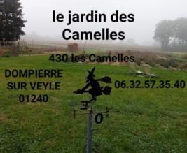 Le jardin des Camelles