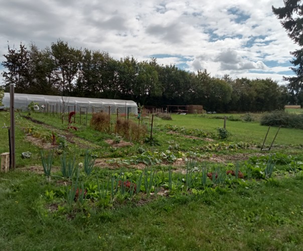 Le jardin des Camelles