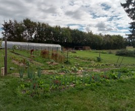 Le jardin des Camelles