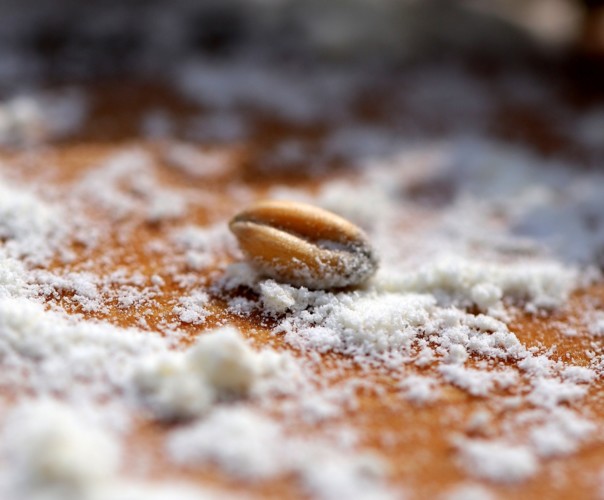 La Ferme de Chardonnet