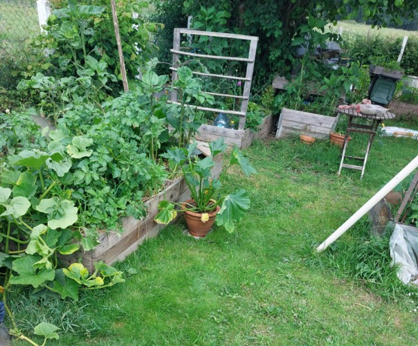 Le potager naturel de Mick et Steph