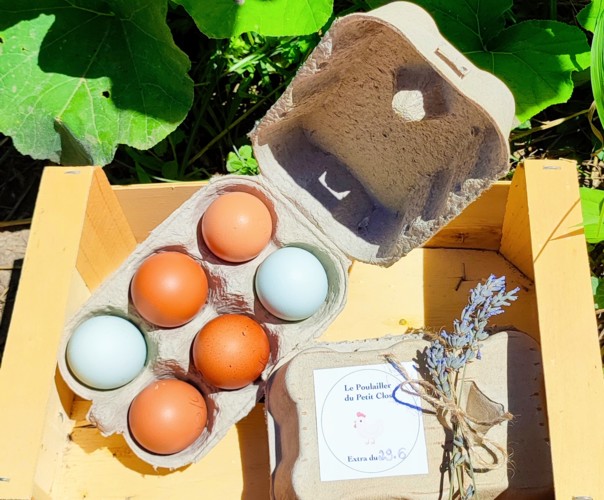 LE POTAGER DU PETIT CLOS