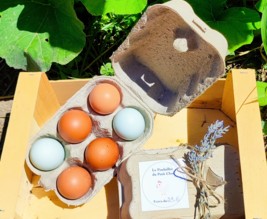 LE POTAGER DU PETIT CLOS