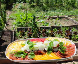 LE POTAGER DU PETIT CLOS