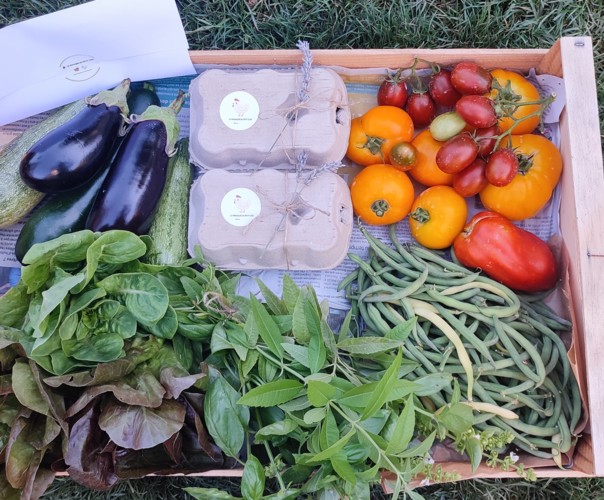 LE POTAGER DU PETIT CLOS