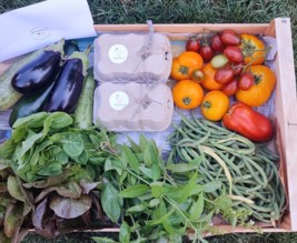 LE POTAGER DU PETIT CLOS