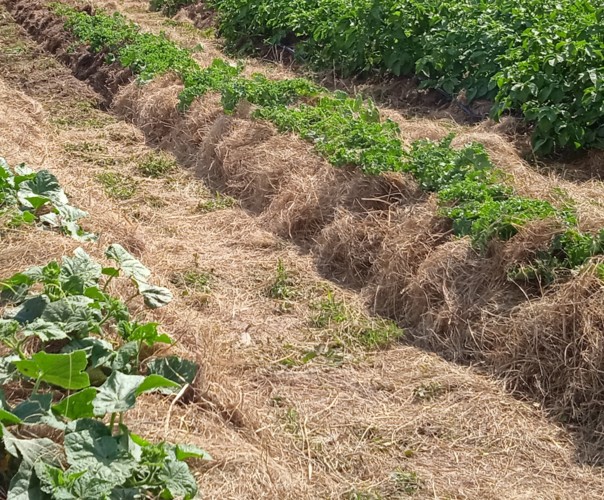 Ferme des blâches