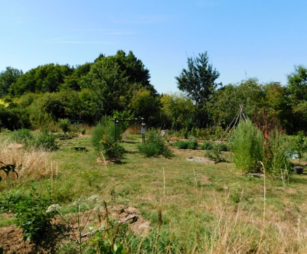 Le jardin libère-Terre