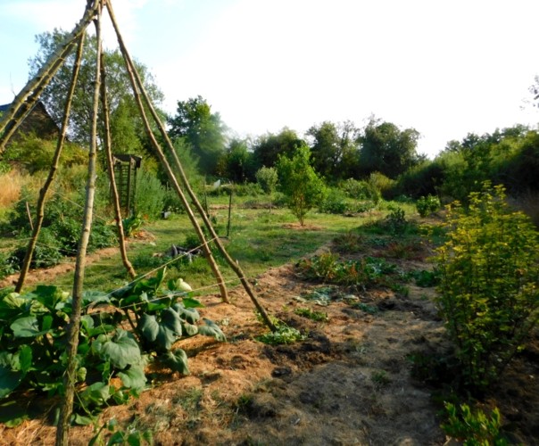 Le jardin libère-Terre