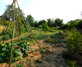 Le jardin libère-Terre