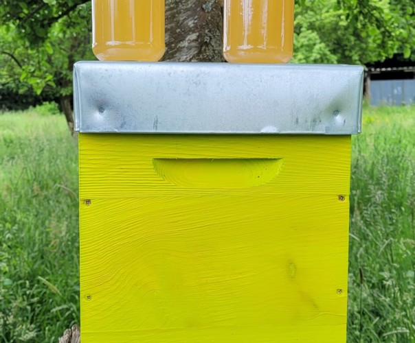 verger Alix et Marion