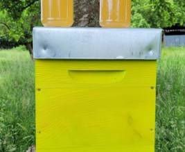 verger Alix et Marion