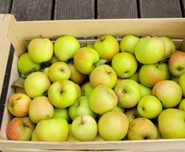 verger Alix et Marion