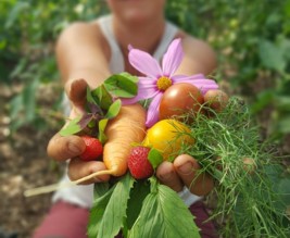 Les Paniers du Maquis