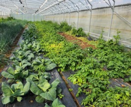 Serres des Princesses