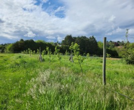 Serres des Princesses