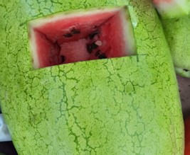 Pastèque-Melon-Courges-Tomate-Concombre.