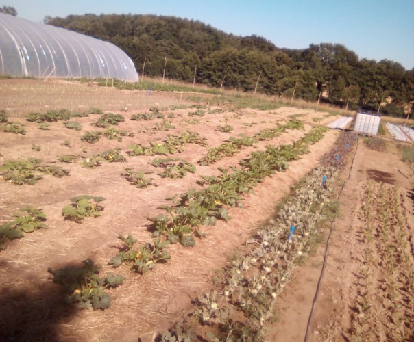 Aux Jardins Célestes