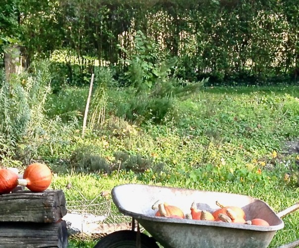 Les Délices du Potager