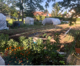 Potager des Allouettes de Montmorency