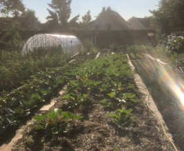 Potager des Allouettes de Montmorency