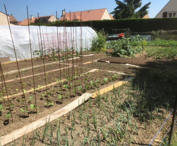 Potager des Allouettes de Montmorency