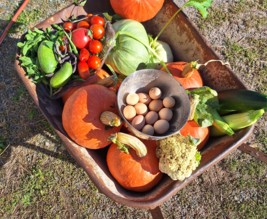 Le jardin des saveurs
