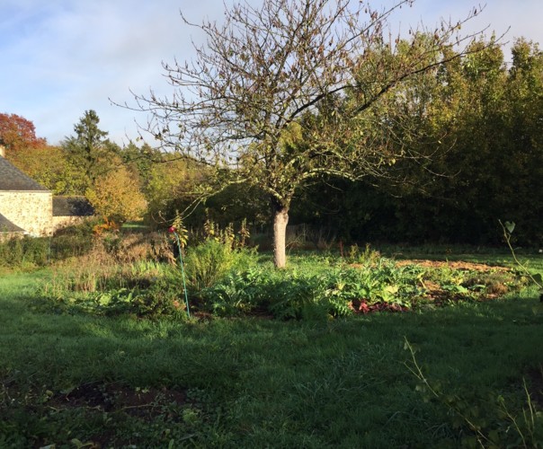 LES FERMENTS DU PETIT CLOU