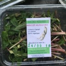 Autre  Barquette de Micro Pousses Haricot Mungo  