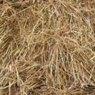 Foin  Ballot de foin 13Kg  