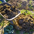 Fumier, crottin, fientes  Fumier de cheval - Prix en fonction de la quantité  