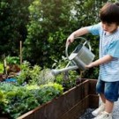 Divers  Initiation au jardin potager  