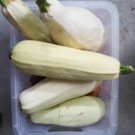Courgette  Courgettes tendres  