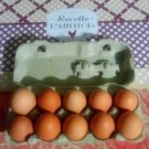 Oeufs de poule  10 GROS OEUFS , GRANDE QUALITE  