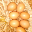 Oeufs de poule