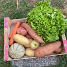 Panier de fruits et  de légumes  Duo local composé de 7 variétés  