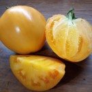 Tomates  Coeur de boeuf orange  
