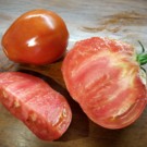 Tomates  Liguria  
