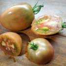 Tomates  Purple Russian  