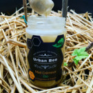 Miel  Cremeux BIO au Gingembre et Propolis  