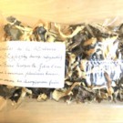 Divers  Chanterelles séchées ( = 0,5 kg champignons frais)  