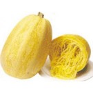 Courge  Spaghetti  