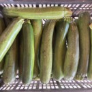 Courgette